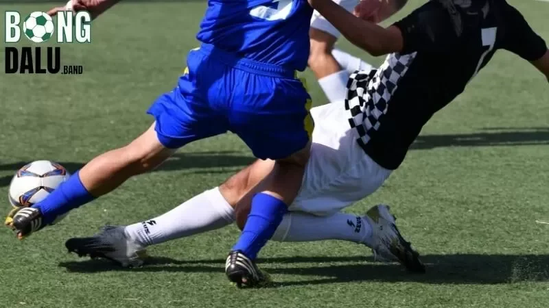 Tìm hiểu thật kỹ lưỡng về thông tin nền đội tuyển